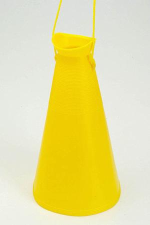 注目のタヒチアンダンスが習えるスクール